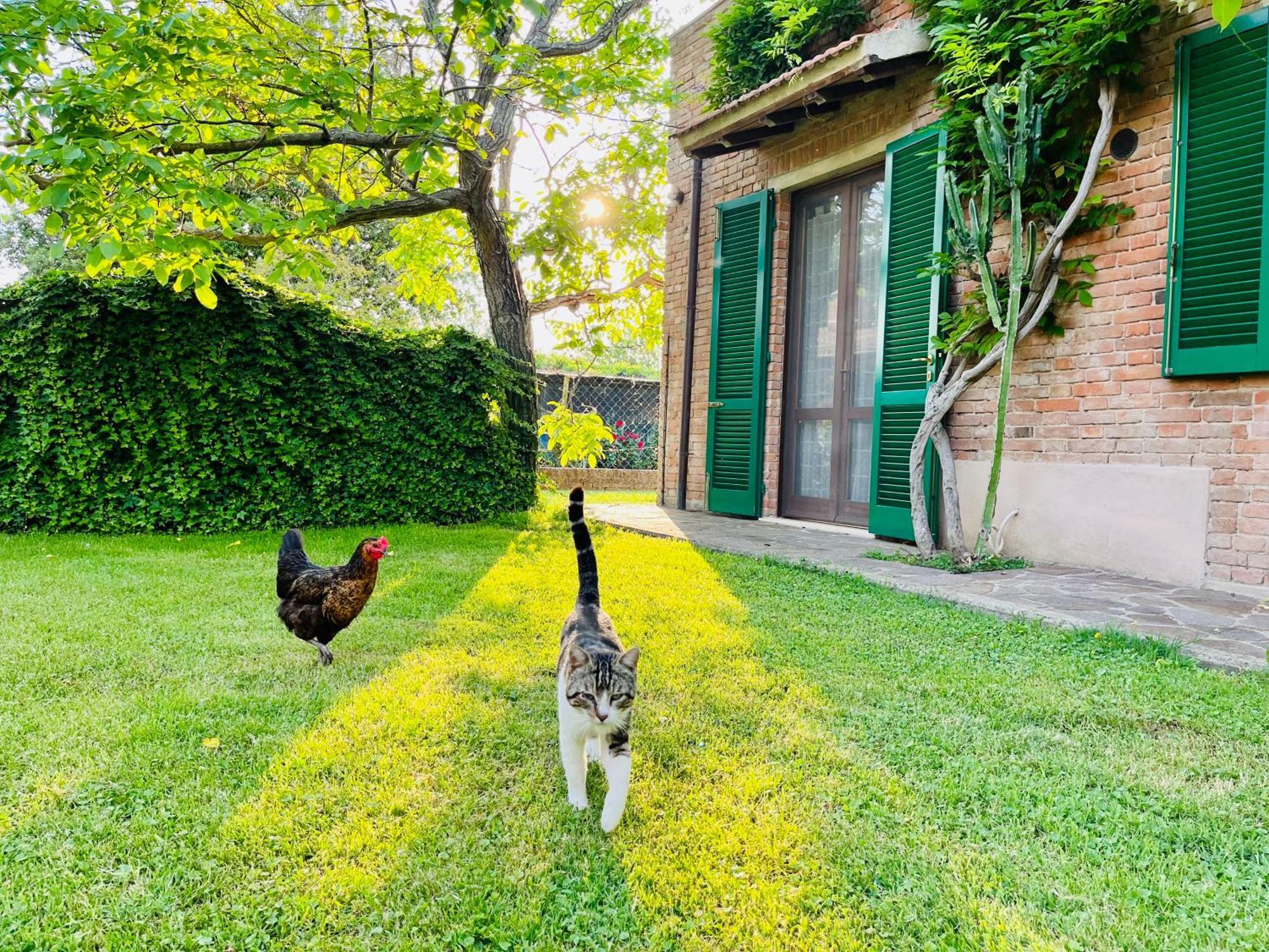 Agriturismo Salcino Villa Grosseto Exterior foto