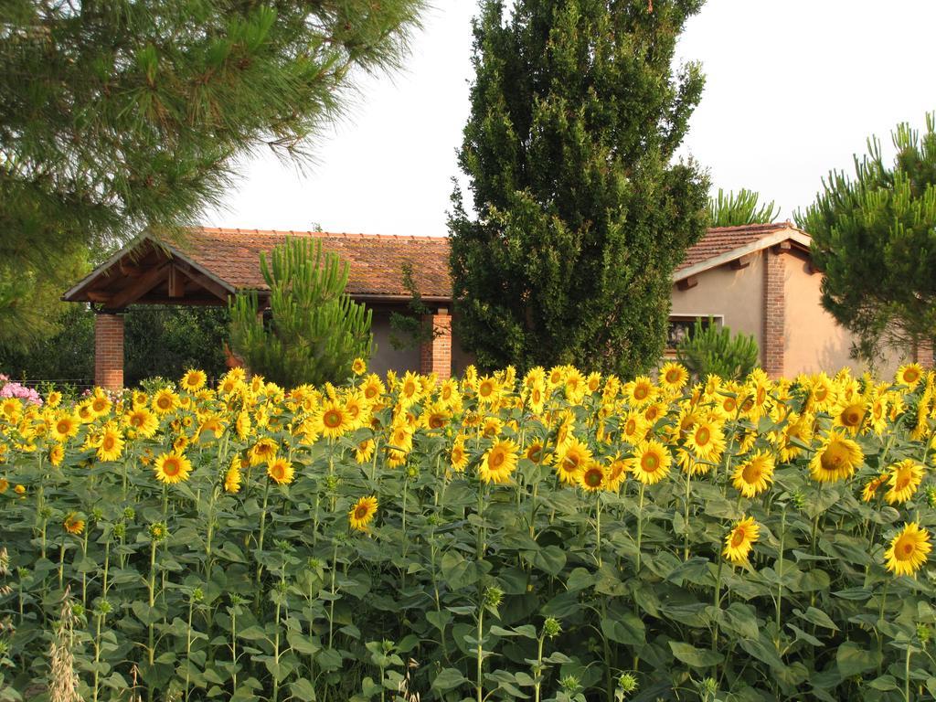 Agriturismo Salcino Villa Grosseto Exterior foto